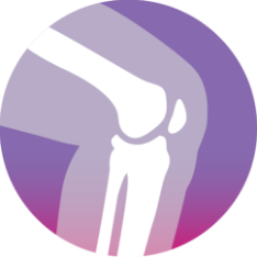 Icon of a bone structure of a bent knee inside a  purple circle