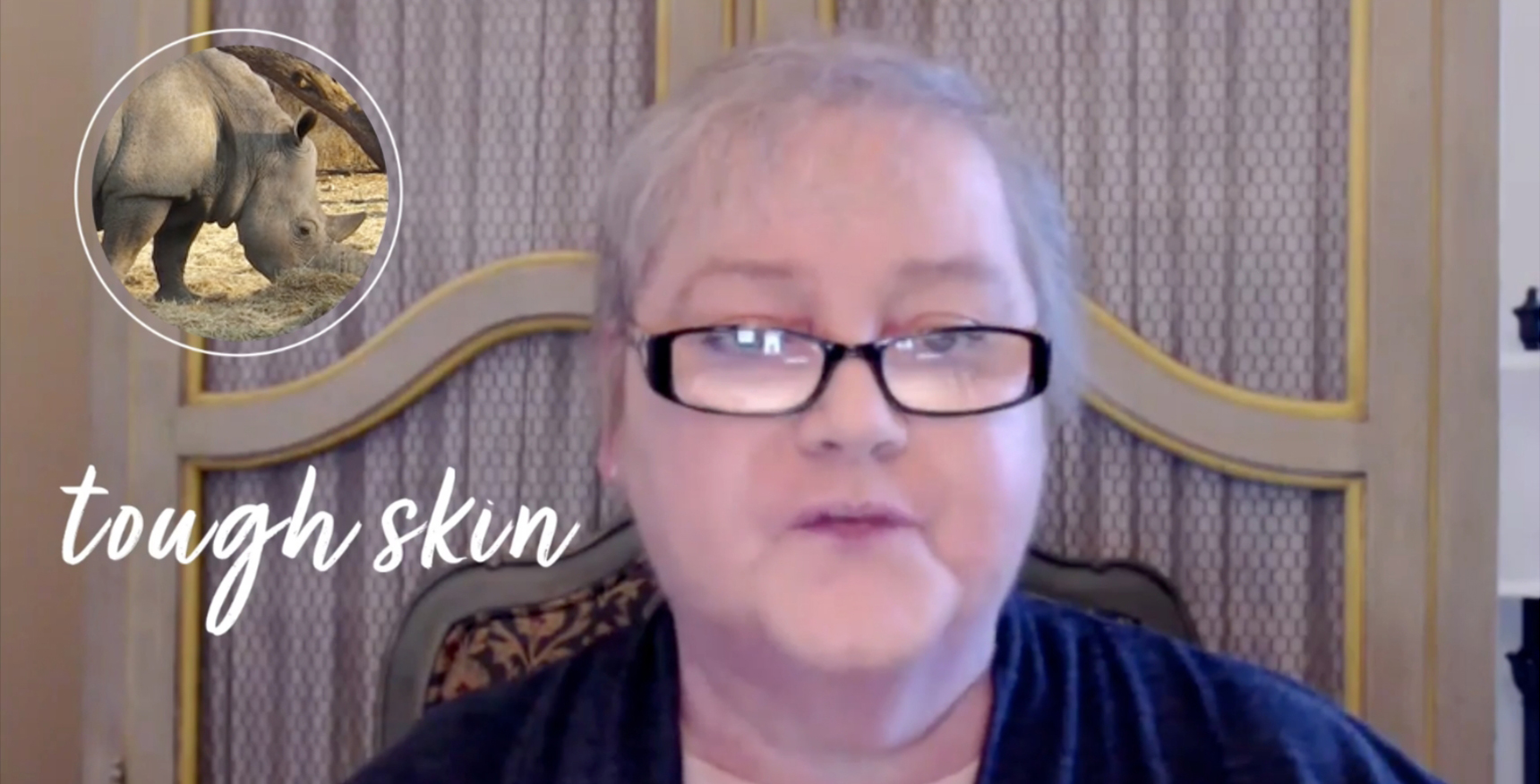 Video thumbnail of a  woman seated in front of a decorative background with a circular image of a rhinoceros labeled 'tough skin' appears in the top left corner.